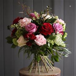 Zesty Rose