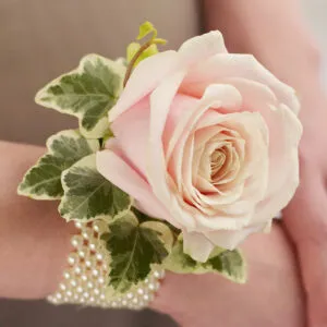 Soft Pink Rose & Pearl Wrist Corsage