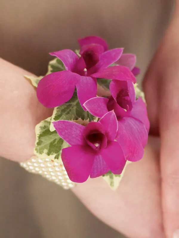 Rich Purple Dendrobium Orchid Wrist Corsage-0